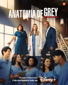 Cartel Anatomía de Grey Temporada 19